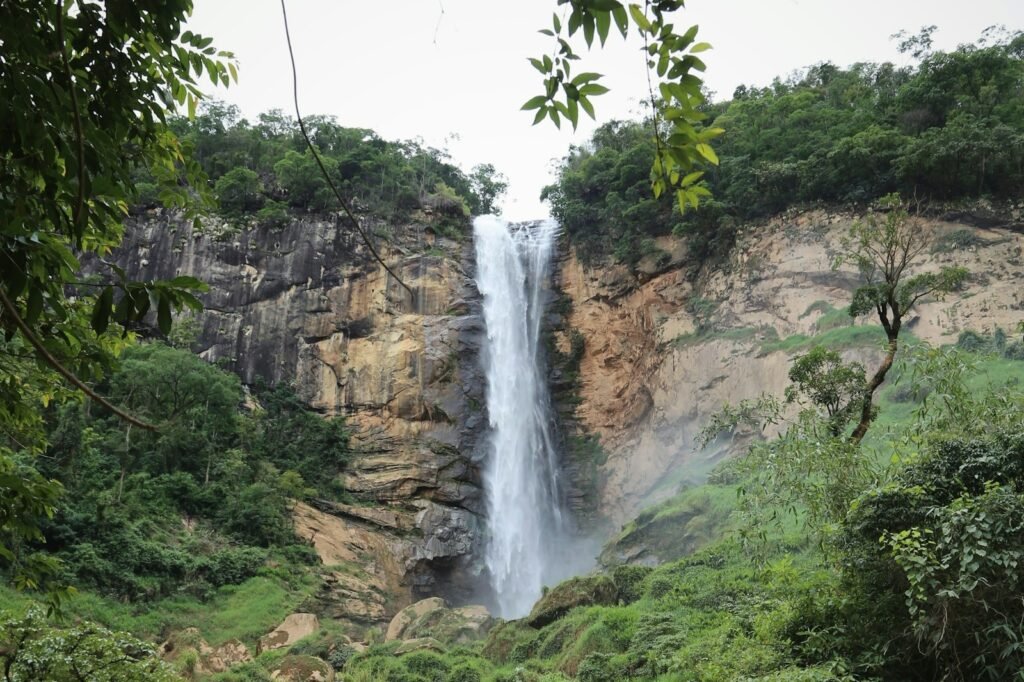 a large waterfall in the middle of a lush green forest