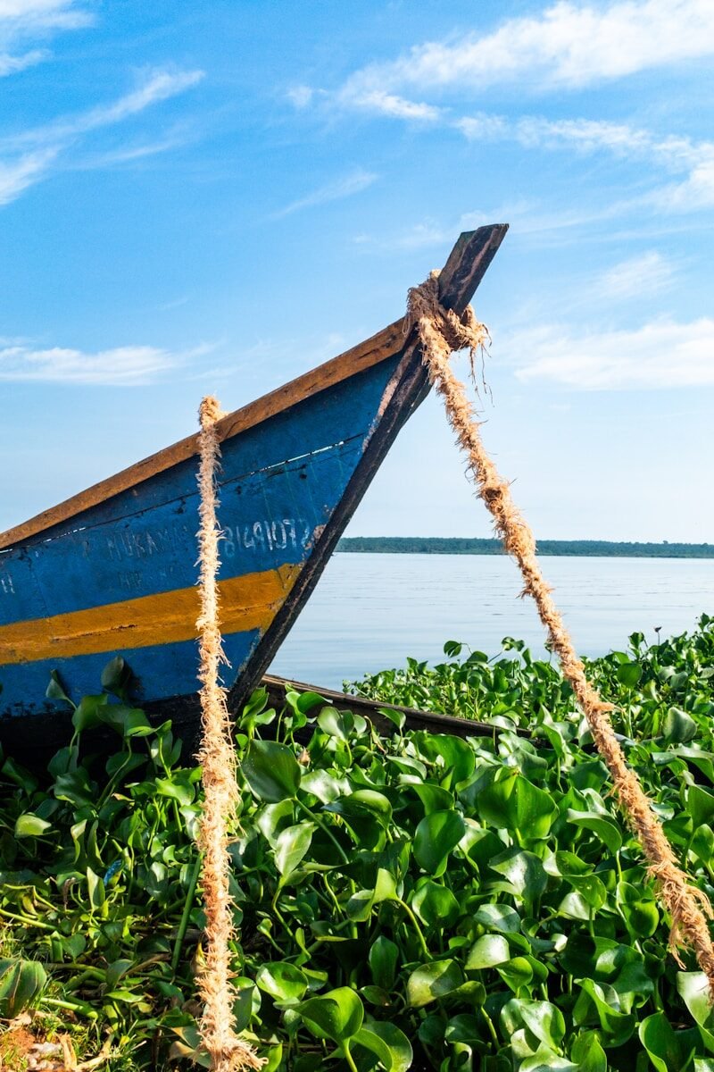 A boat sitting on top of a lush green field